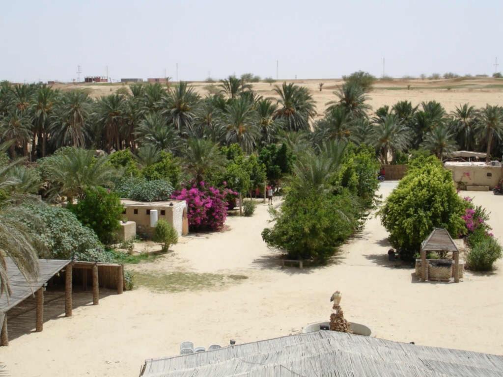 Hotel Palm Palace Tozeur